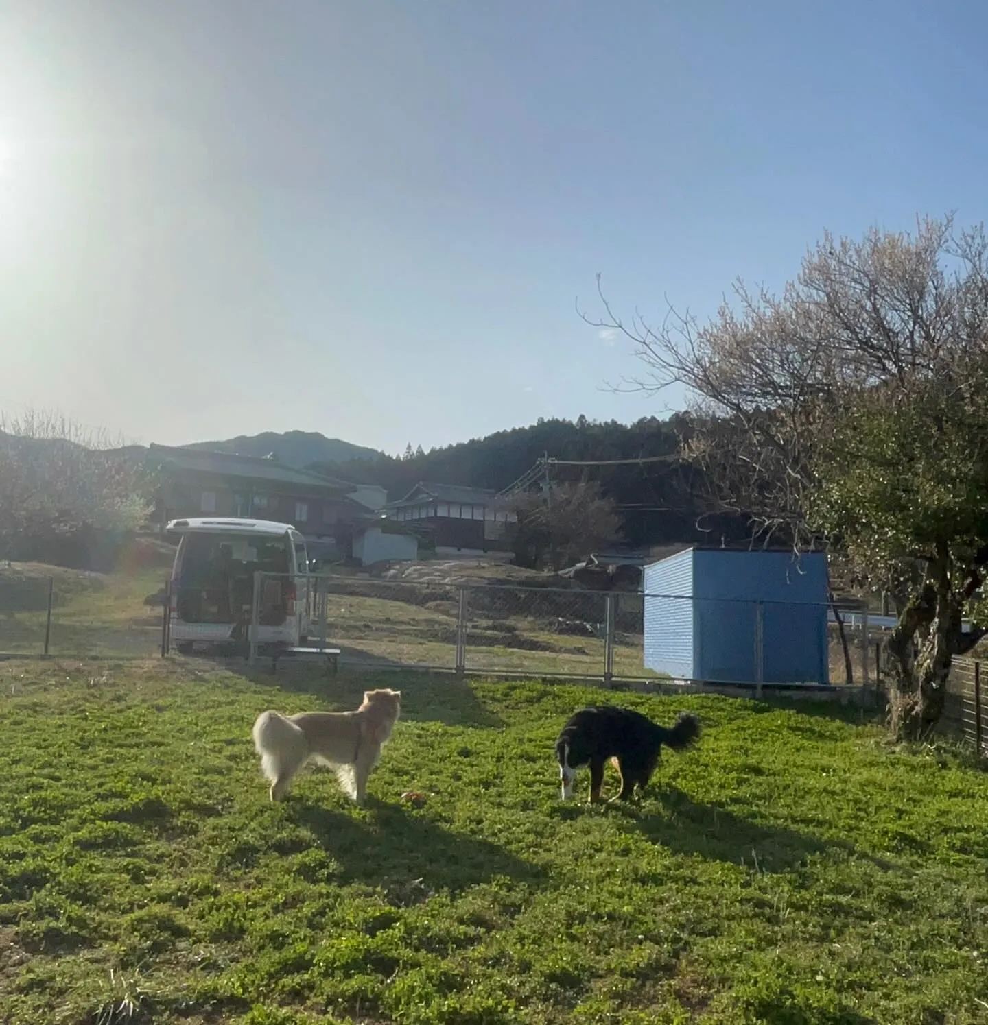 こんにちは　わんスマイルです。