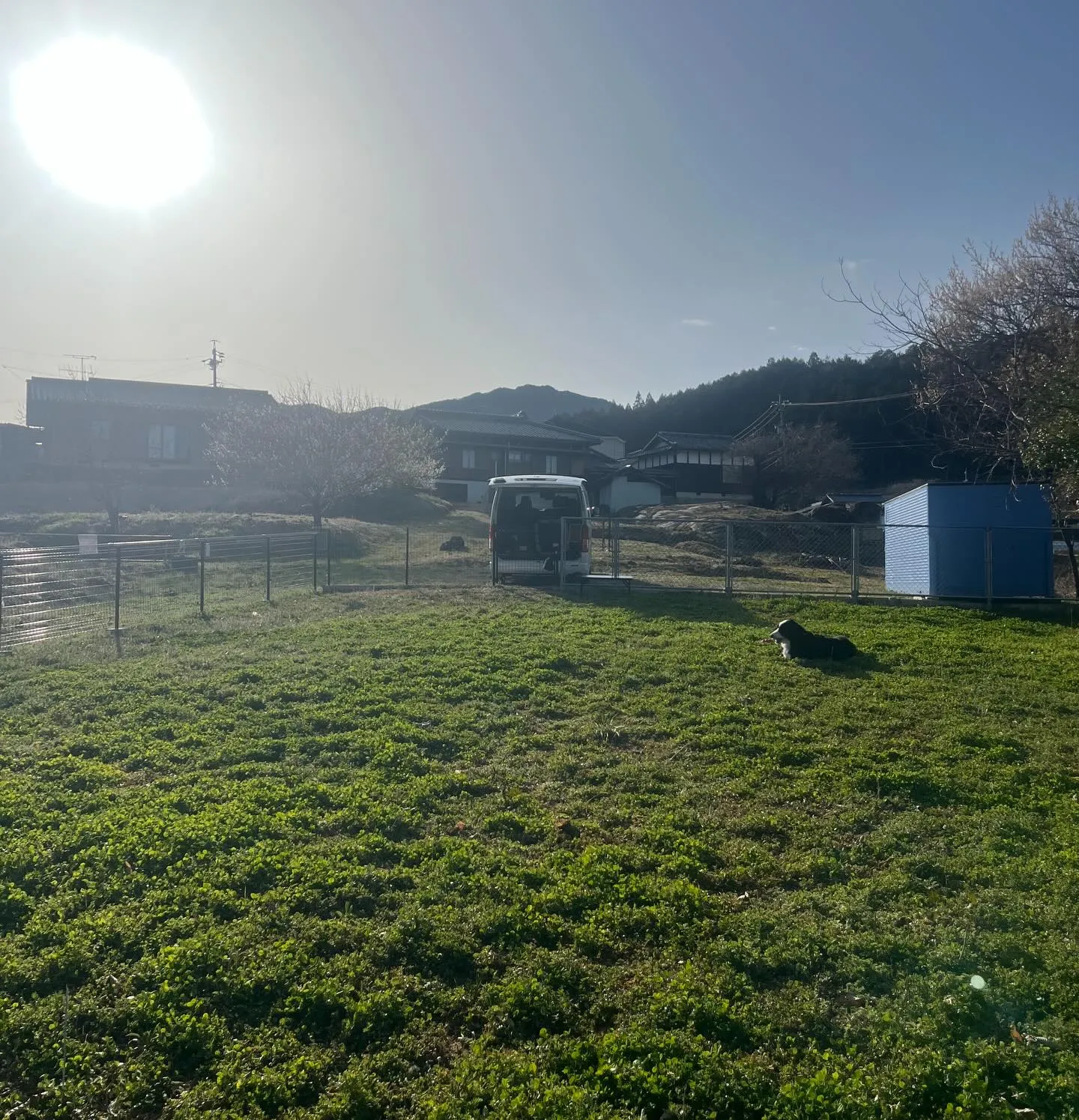 こんにちは　わんスマイルです。