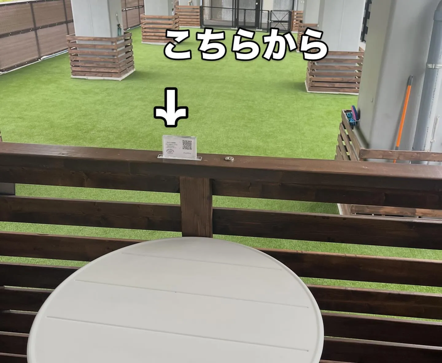 当ドッグランで