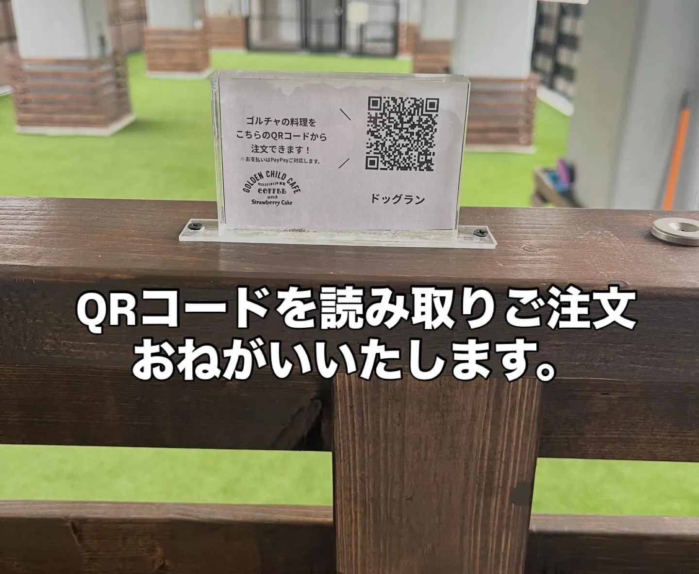 当ドッグランで