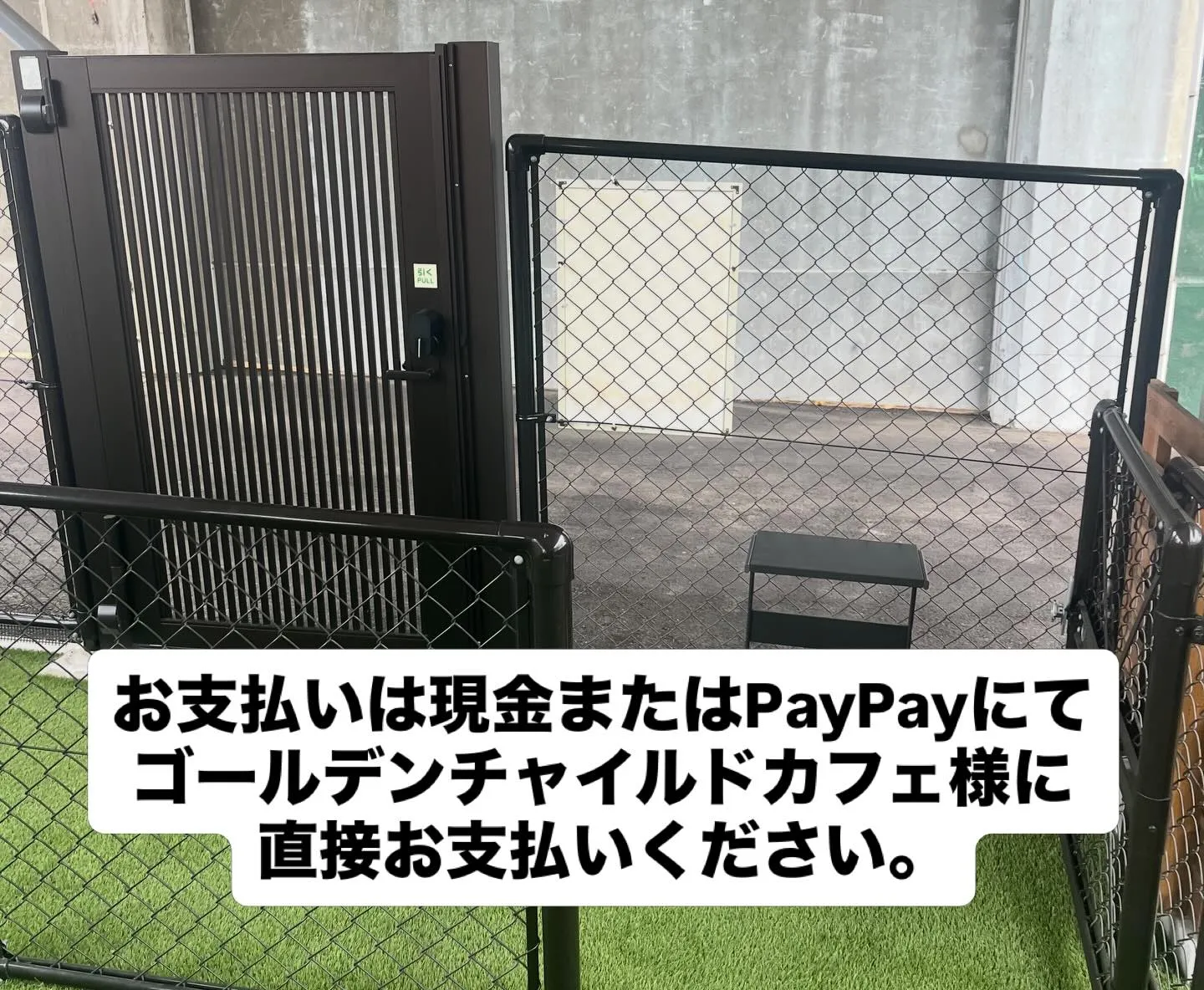 当ドッグランで