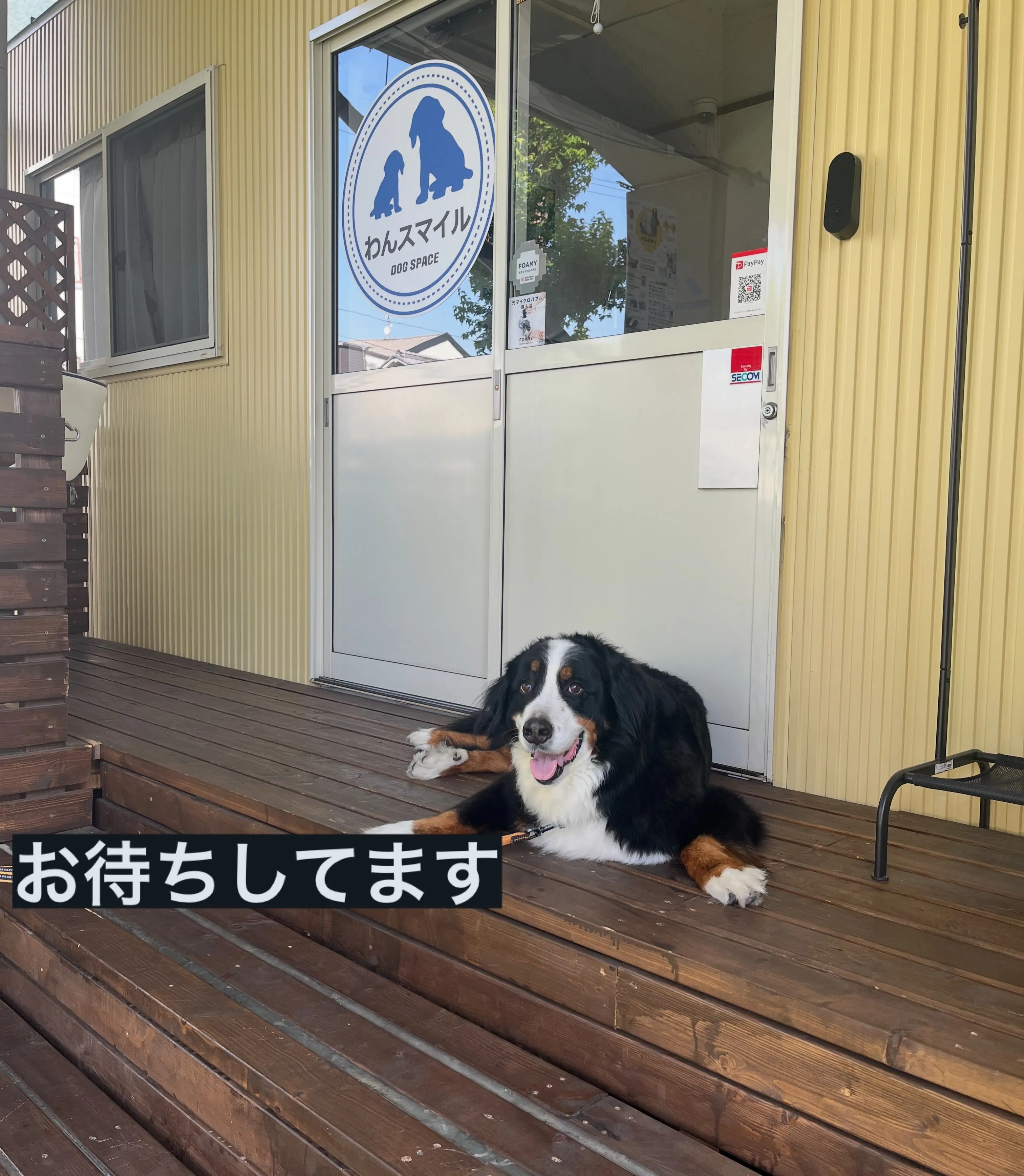 こんにちは　わんスマイルです。