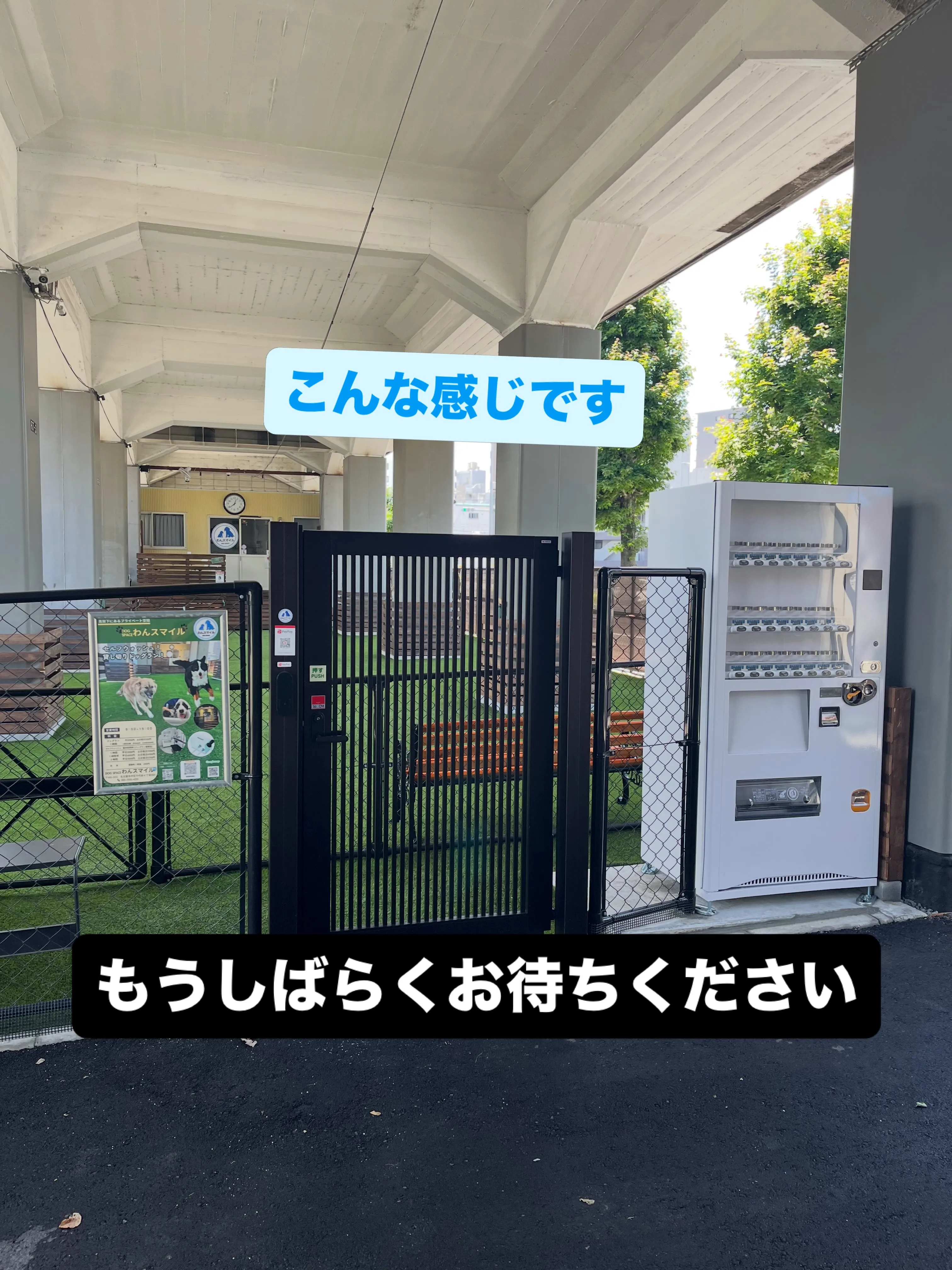 わんスマイルです☺️
