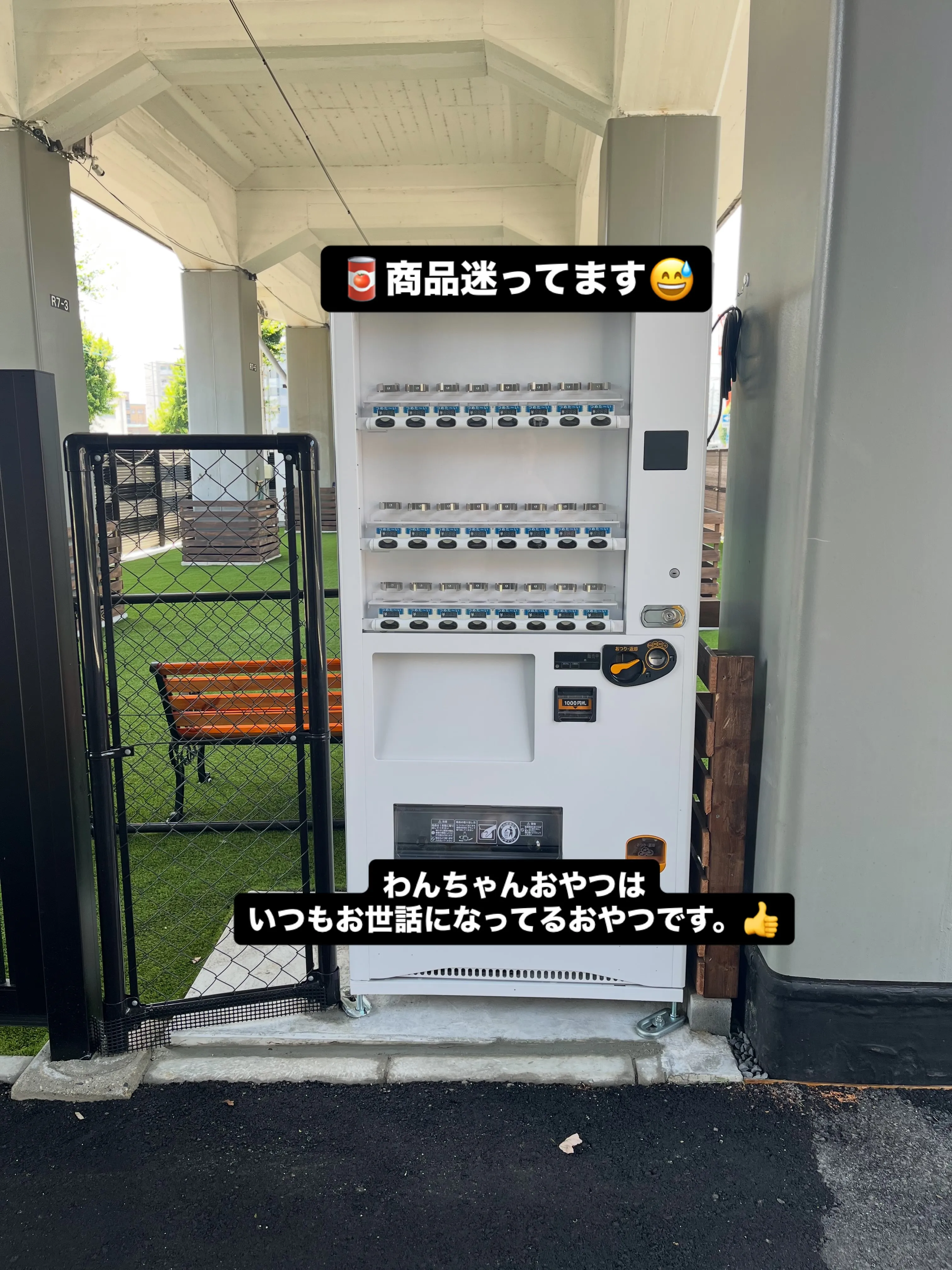わんスマイルです☺️