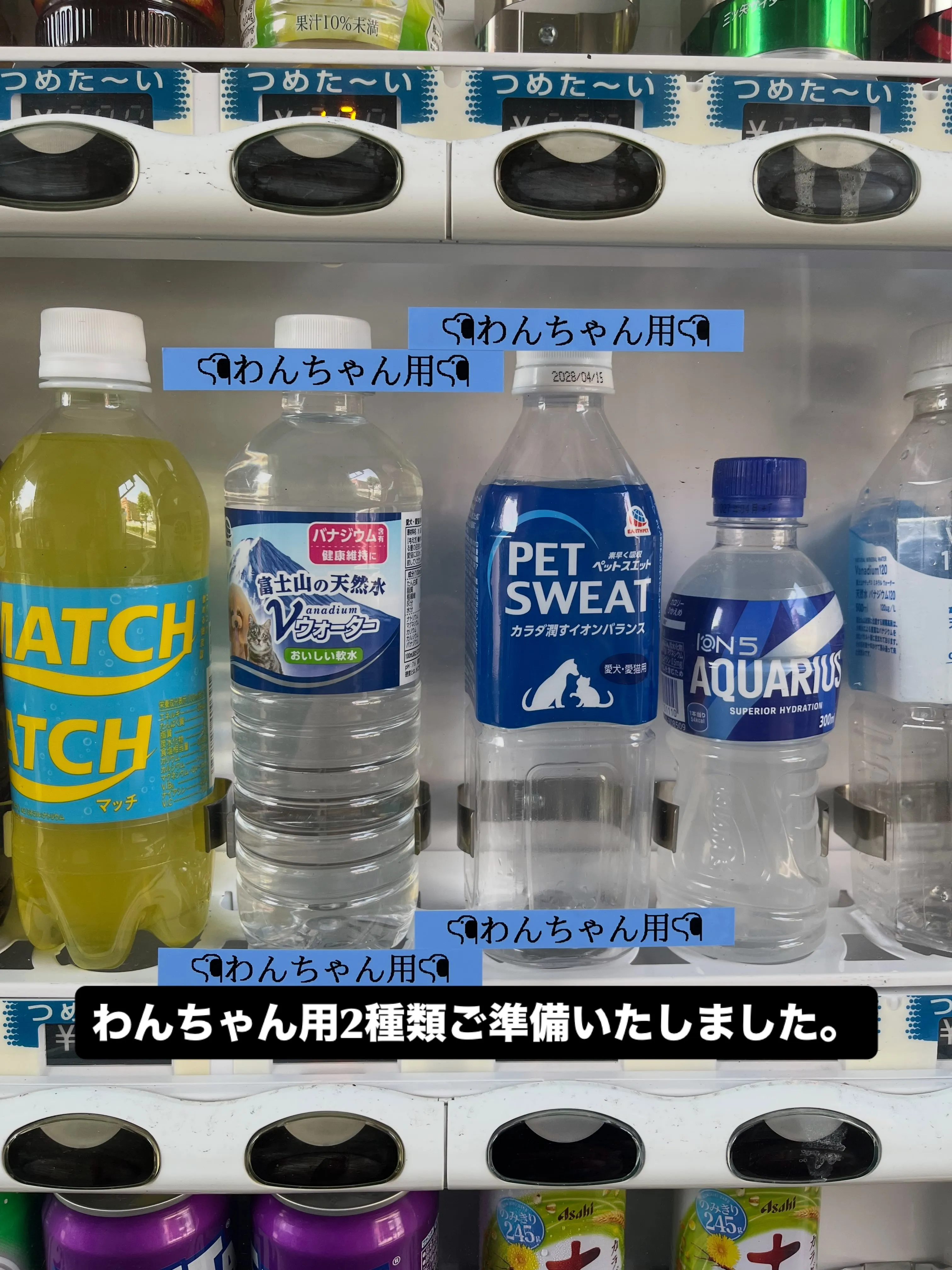 わんスマイルです。