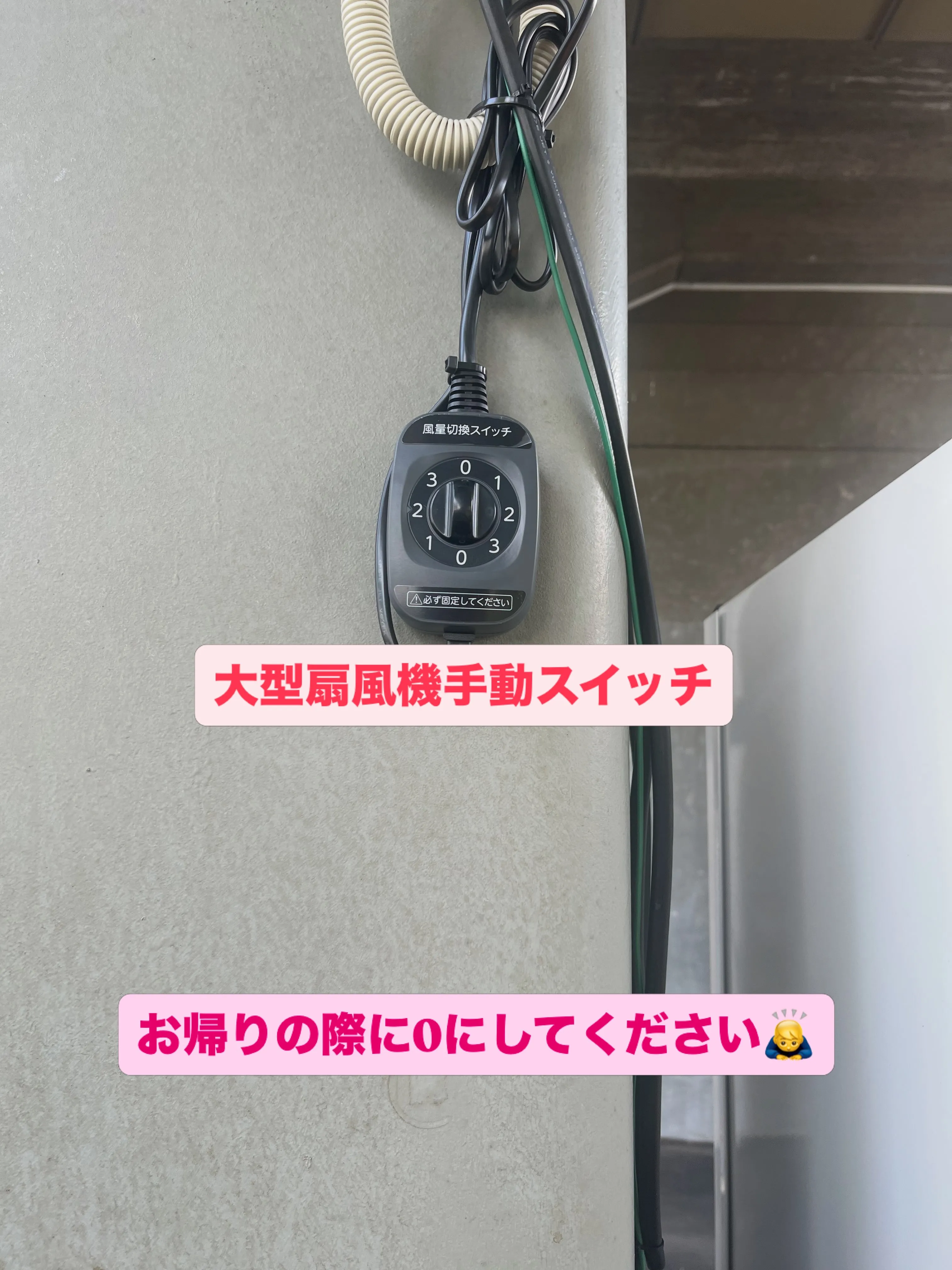 わんスマイルです。