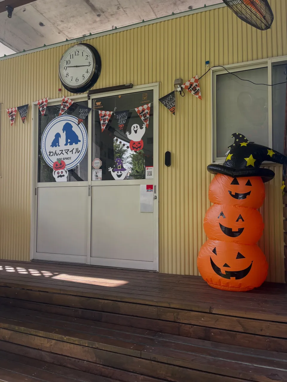わんスマイルです🎃
