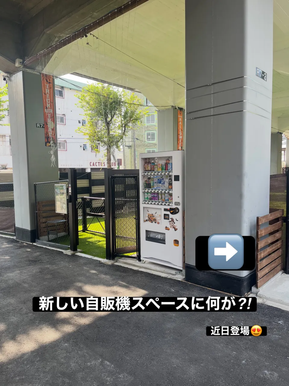 わんスマイルです🎃